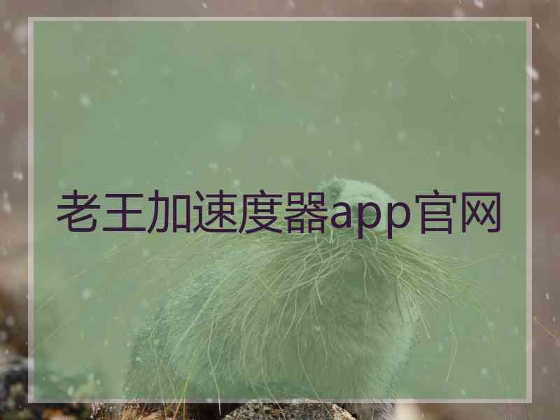 老王加速度器app官网