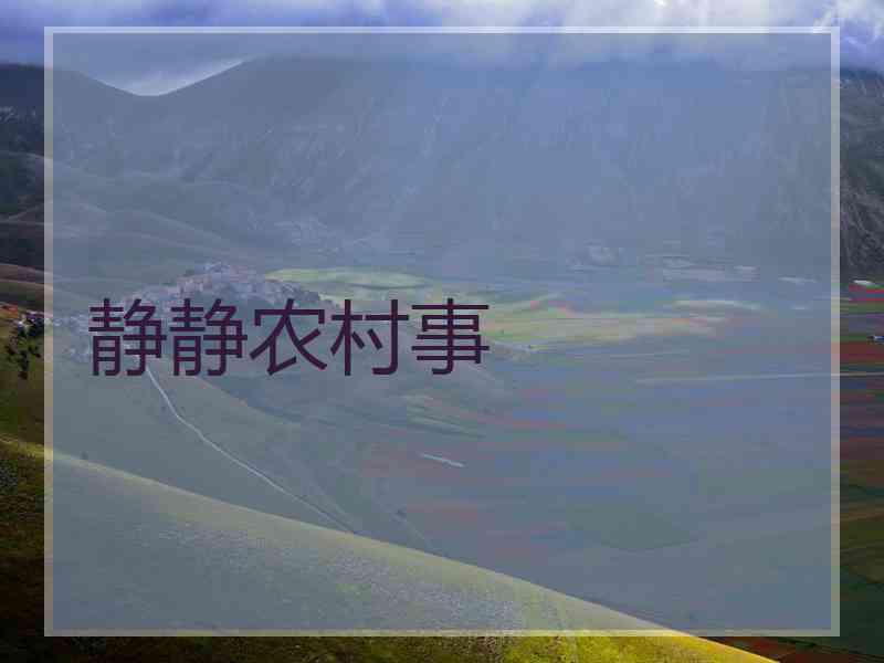 静静农村事