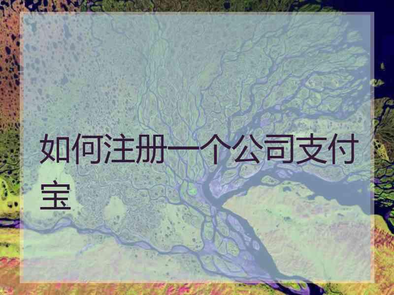 如何注册一个公司支付宝