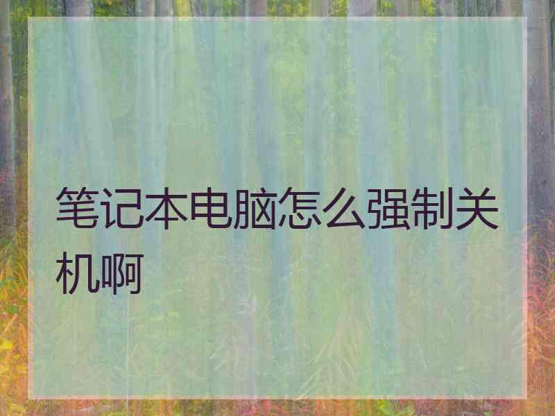 笔记本电脑怎么强制关机啊