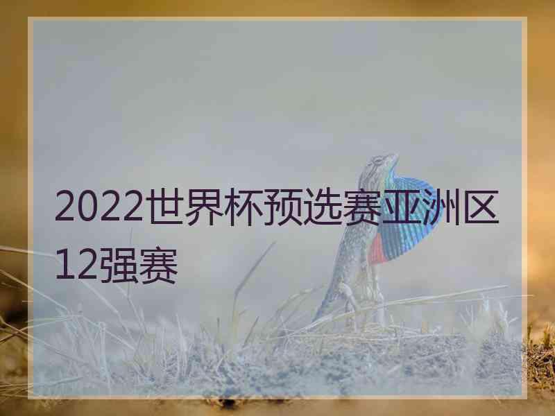 2022世界杯预选赛亚洲区12强赛