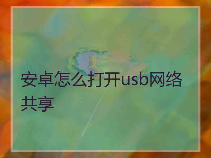 安卓怎么打开usb网络共享