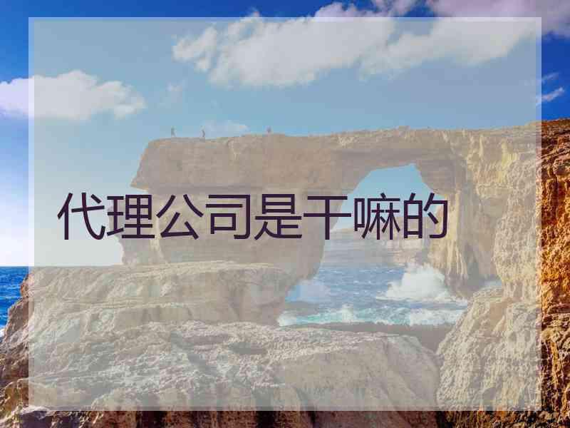 代理公司是干嘛的