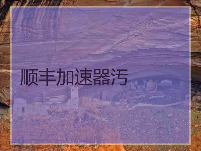 顺丰加速器汚