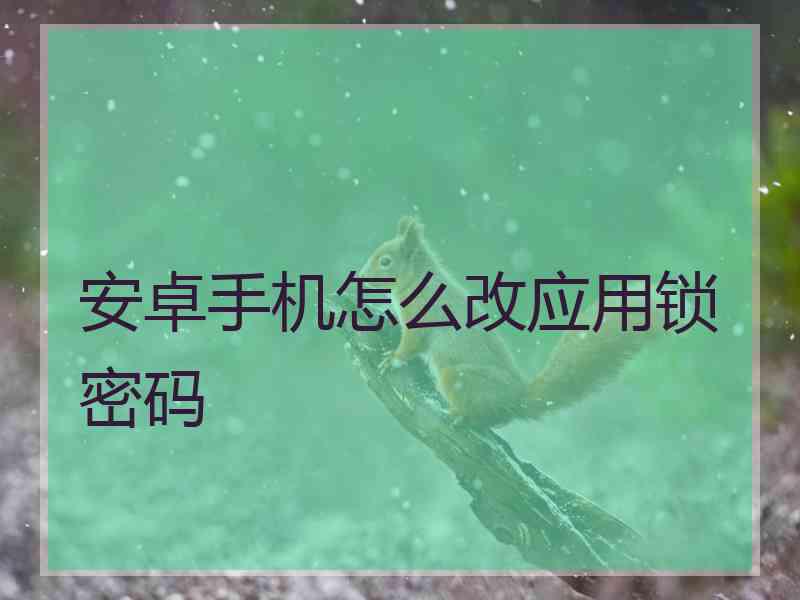 安卓手机怎么改应用锁密码