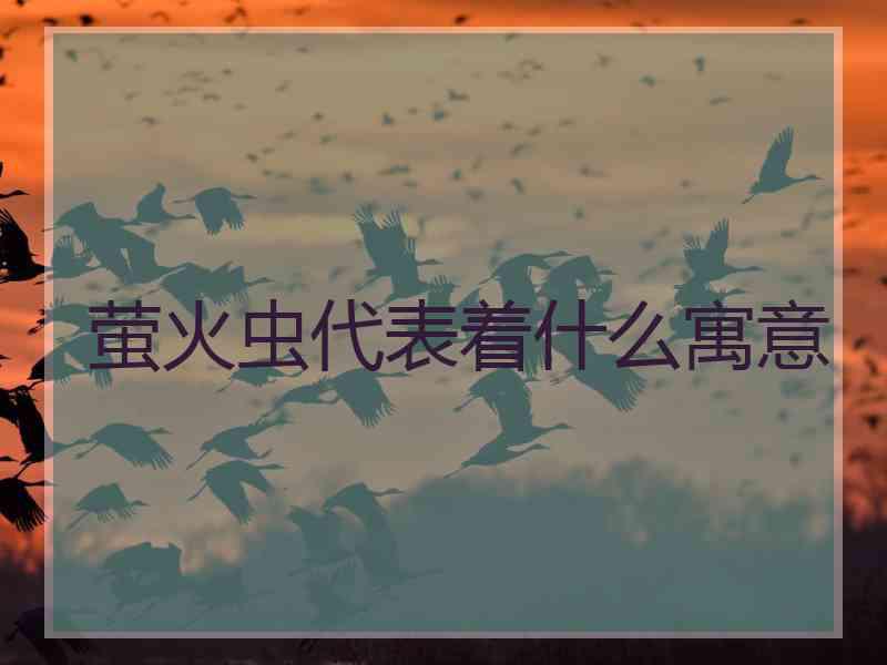 萤火虫代表着什么寓意