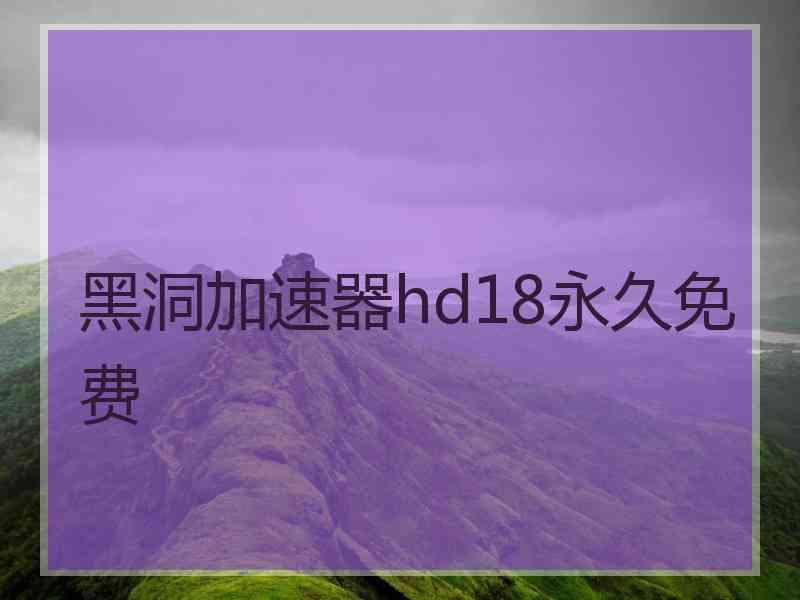 黑洞加速器hd18永久免费
