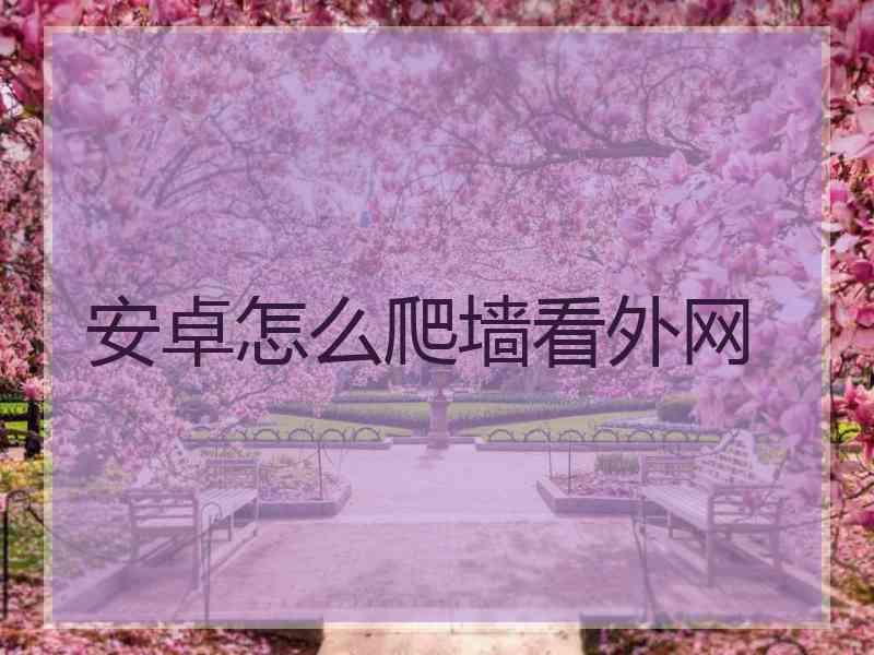 安卓怎么爬墙看外网
