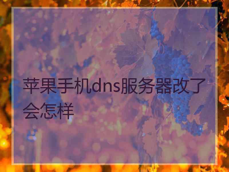 苹果手机dns服务器改了会怎样