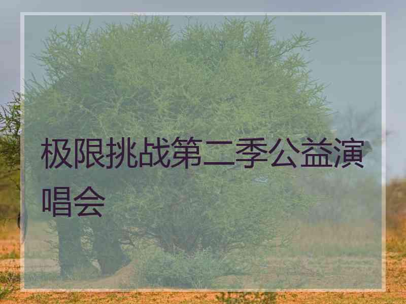极限挑战第二季公益演唱会