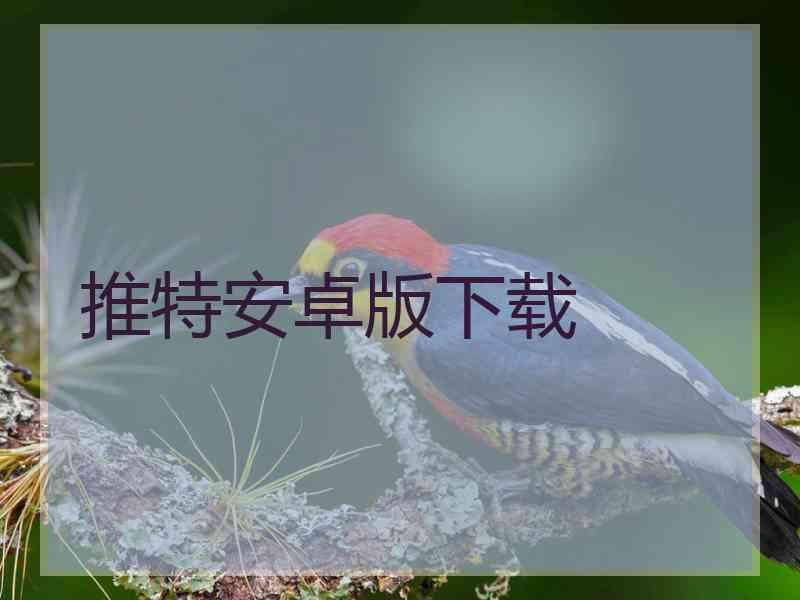 推特安卓版下载