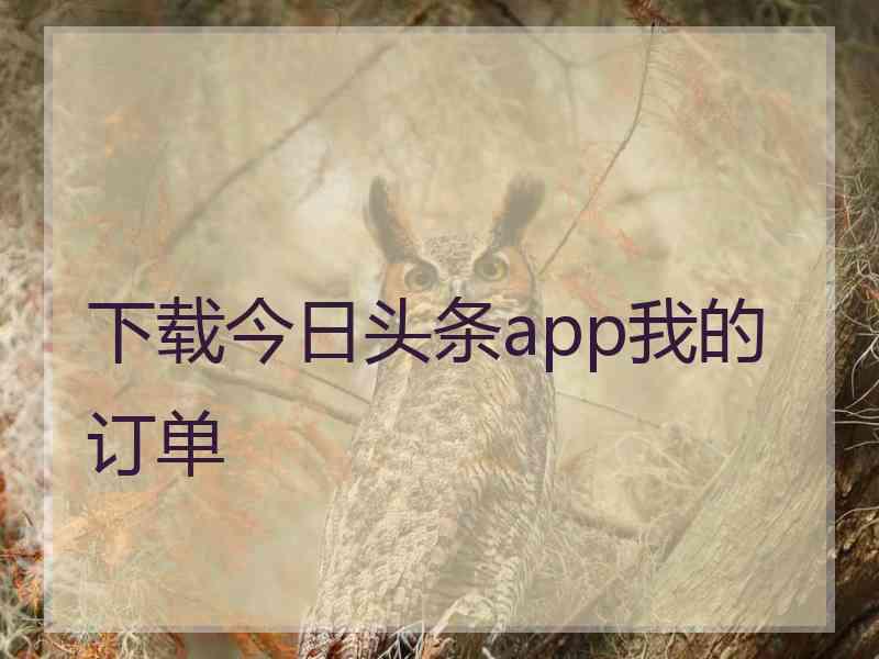 下载今日头条app我的订单