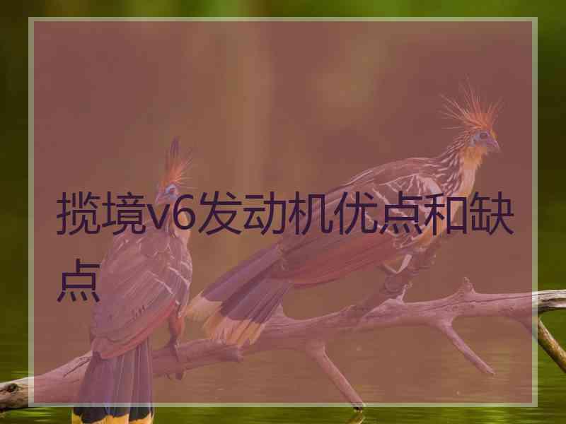 揽境v6发动机优点和缺点