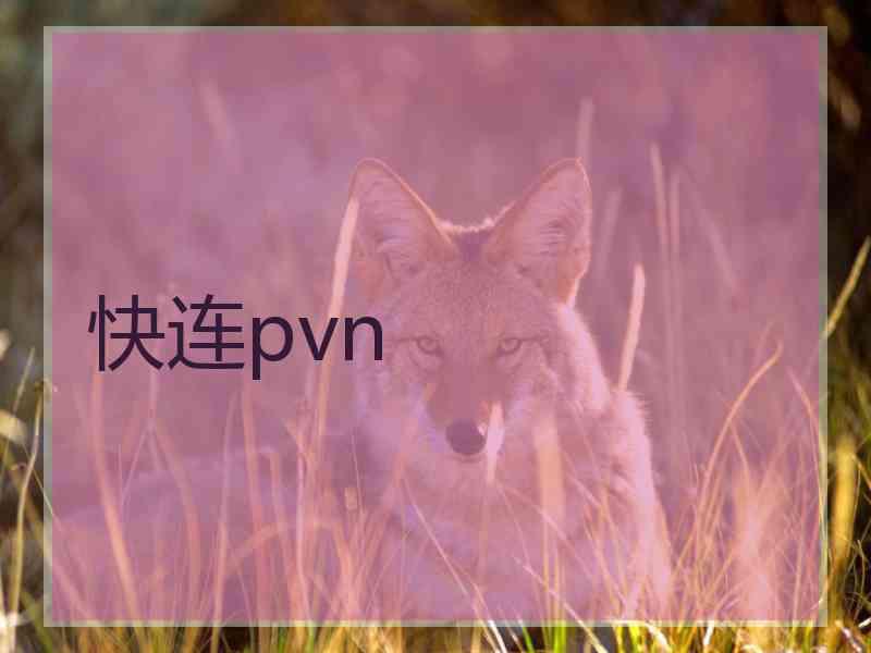 快连pvn