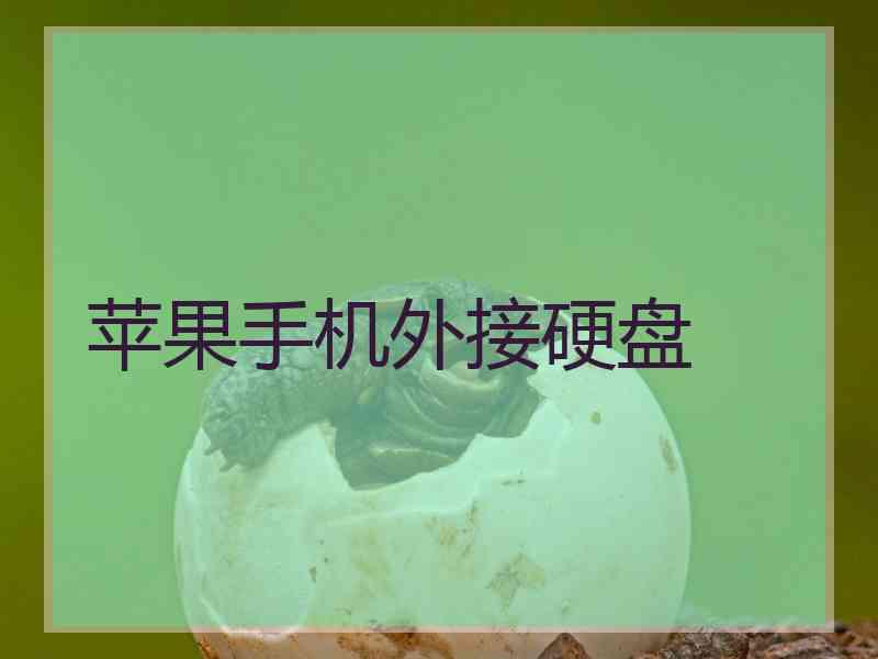 苹果手机外接硬盘