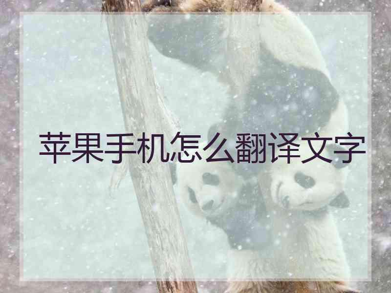苹果手机怎么翻译文字