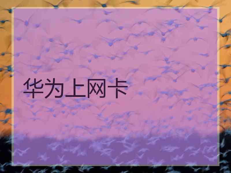 华为上网卡