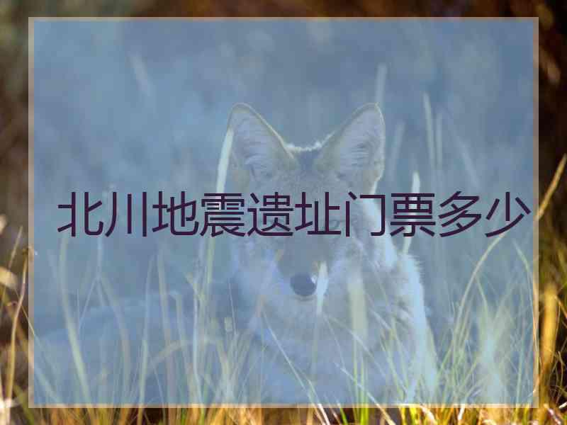 北川地震遗址门票多少