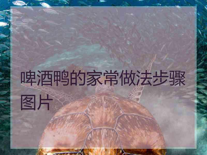 啤酒鸭的家常做法步骤图片