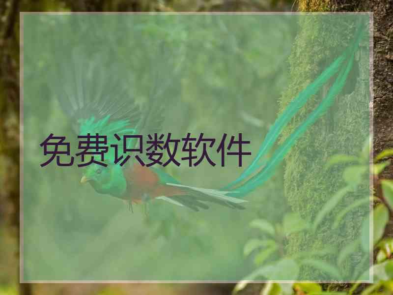 免费识数软件