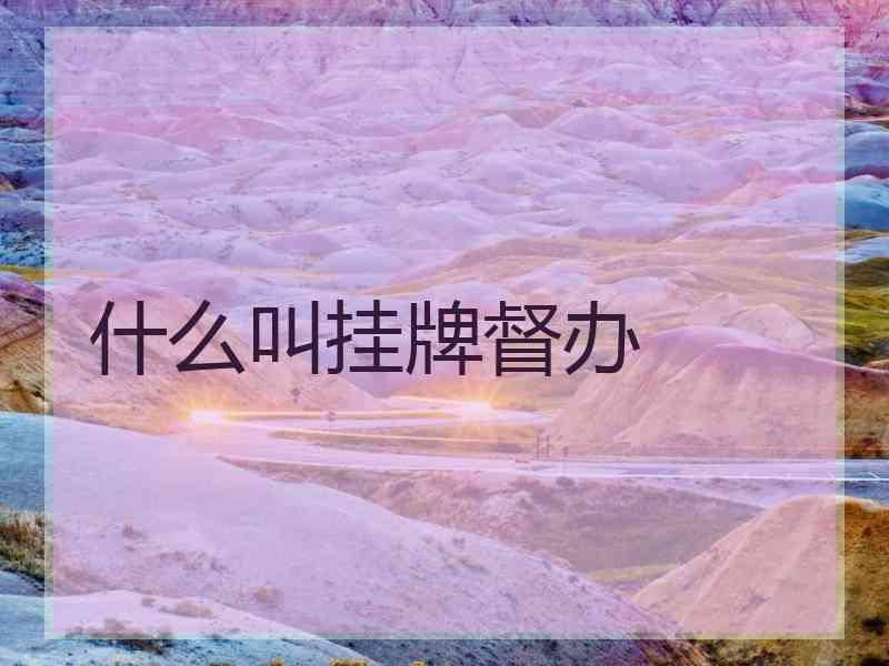 什么叫挂牌督办