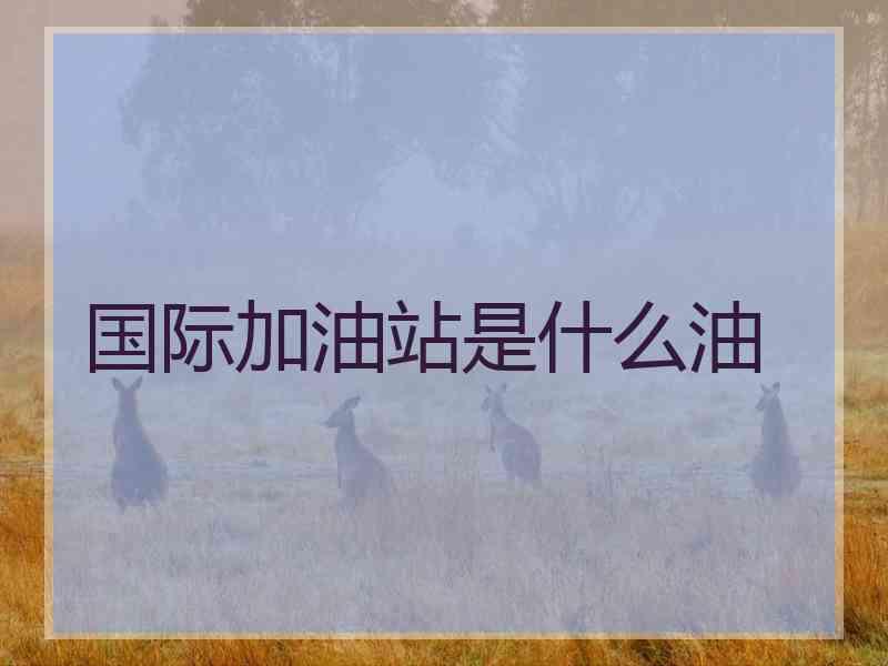 国际加油站是什么油