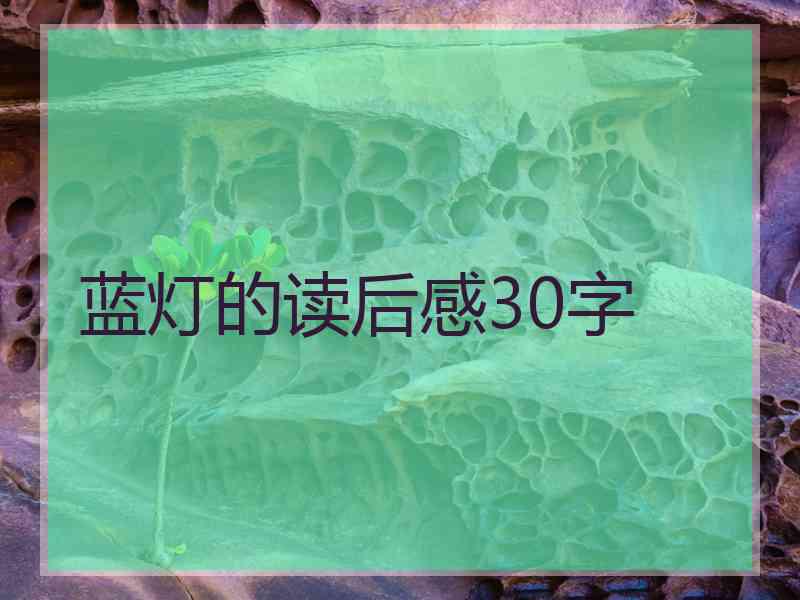 蓝灯的读后感30字