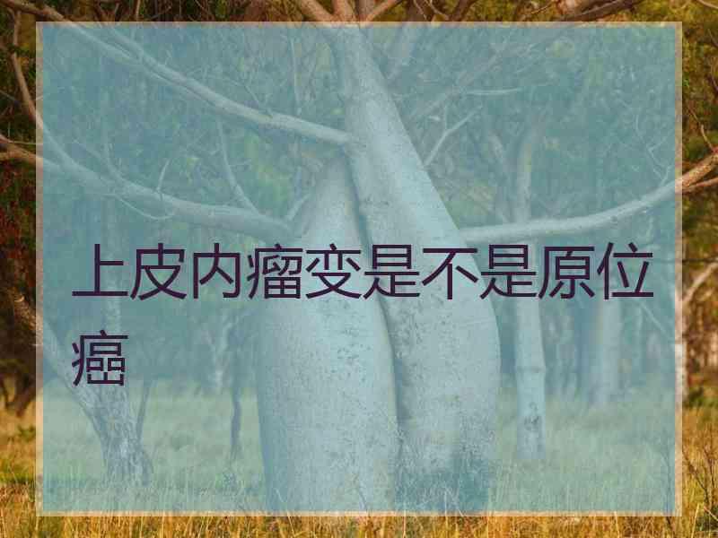上皮内瘤变是不是原位癌