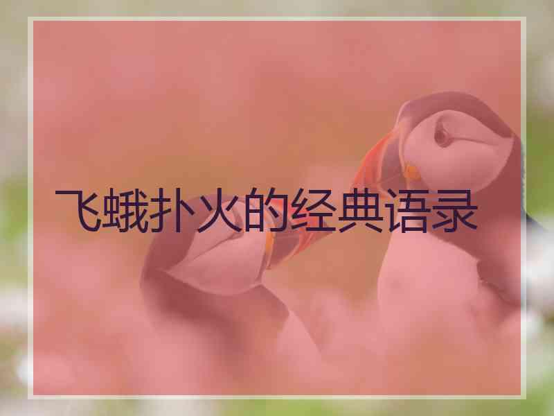 飞蛾扑火的经典语录