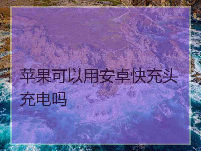 苹果可以用安卓快充头充电吗
