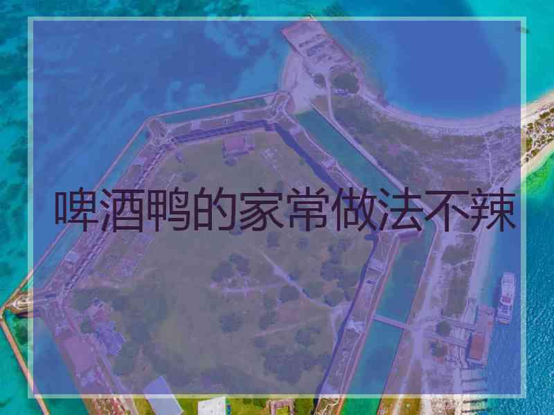 啤酒鸭的家常做法不辣
