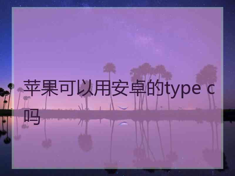 苹果可以用安卓的type c吗