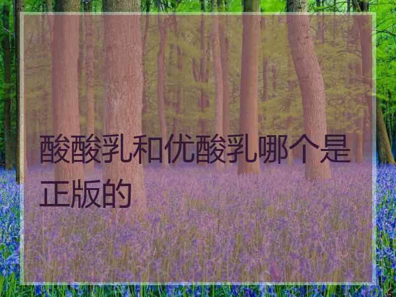 酸酸乳和优酸乳哪个是正版的