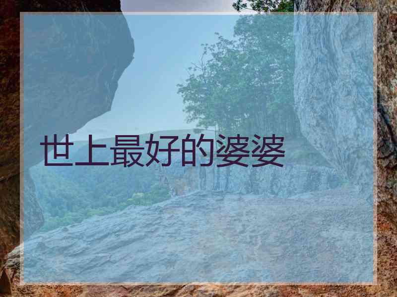 世上最好的婆婆