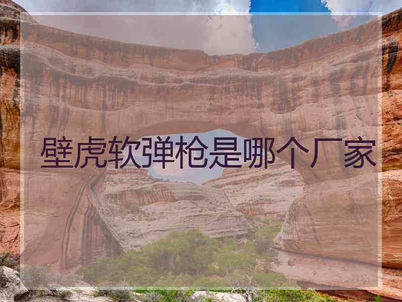 壁虎软弹枪是哪个厂家