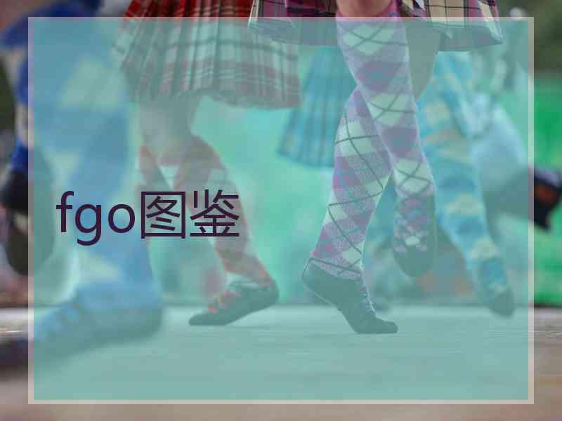 fgo图鉴
