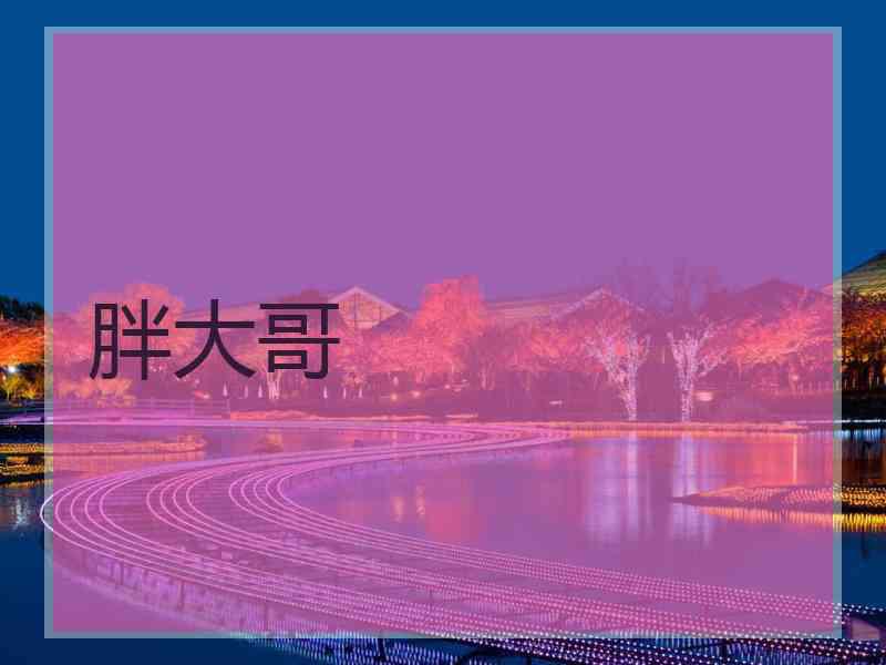 胖大哥