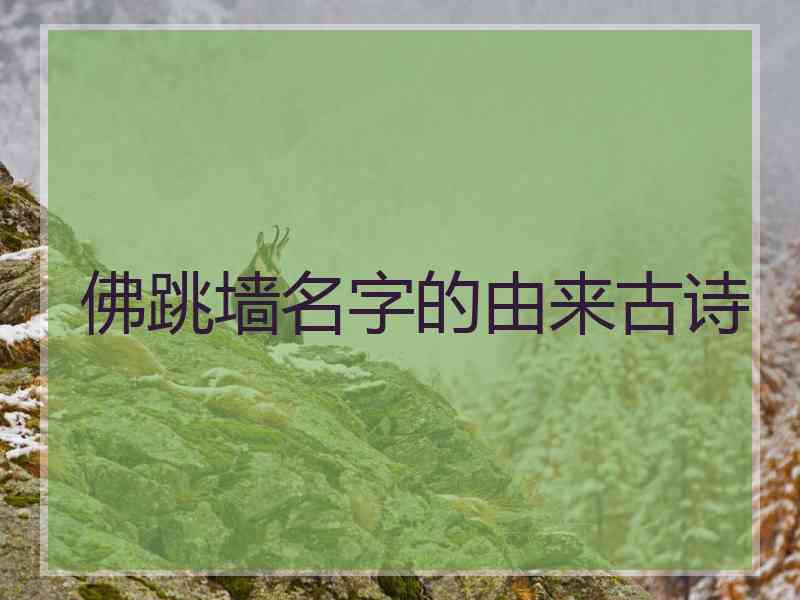 佛跳墙名字的由来古诗
