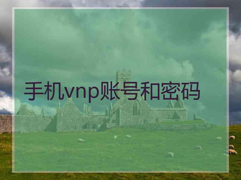 手机vnp账号和密码
