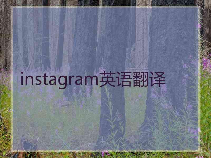 instagram英语翻译