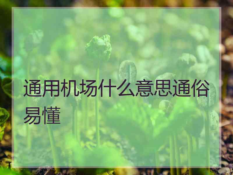 通用机场什么意思通俗易懂