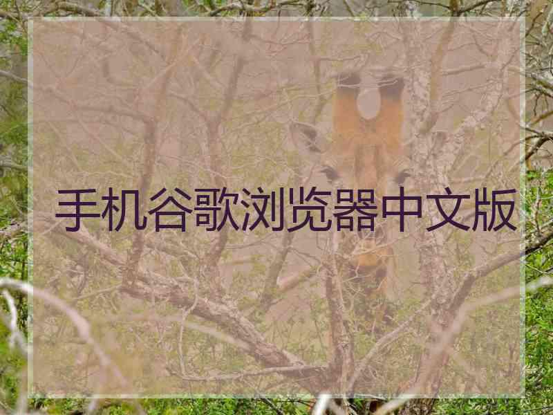 手机谷歌浏览器中文版