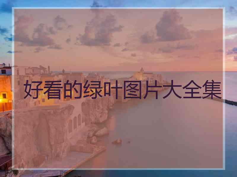 好看的绿叶图片大全集