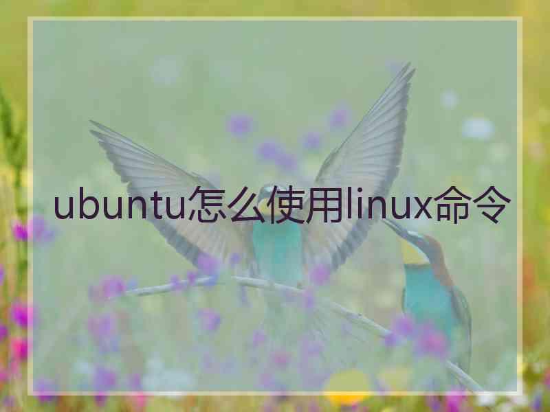 ubuntu怎么使用linux命令