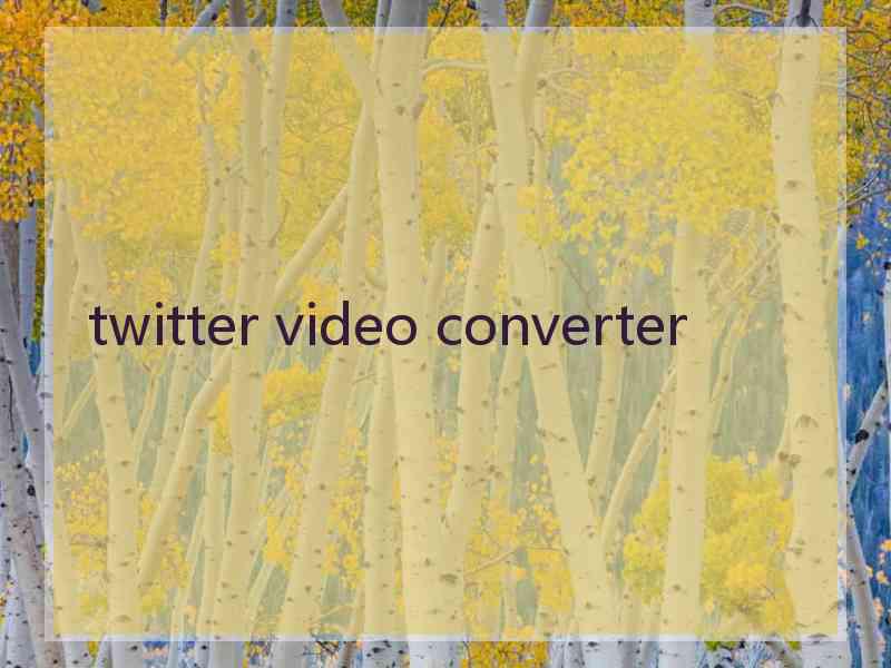 twitter video converter