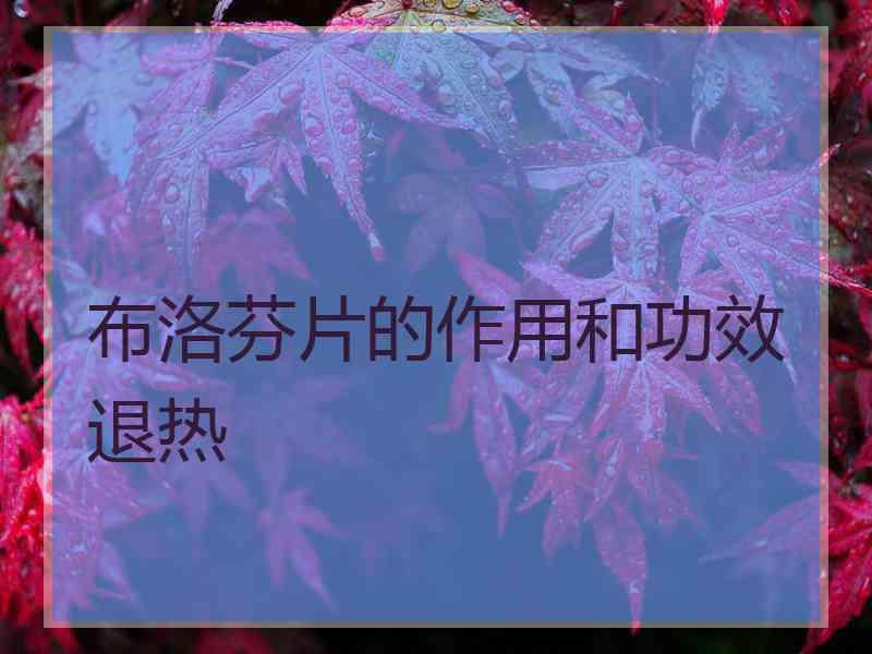 布洛芬片的作用和功效退热