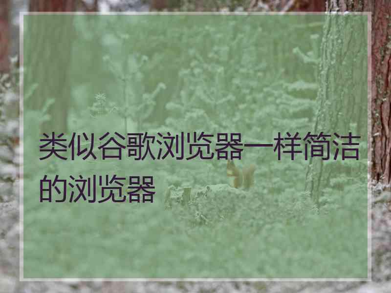 类似谷歌浏览器一样简洁的浏览器