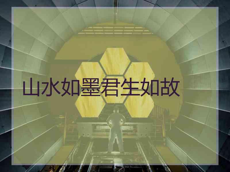山水如墨君生如故