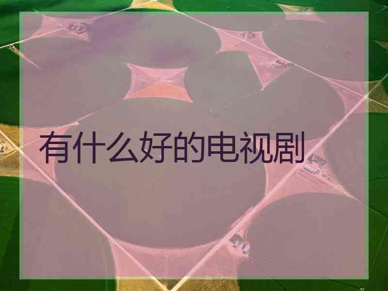 有什么好的电视剧